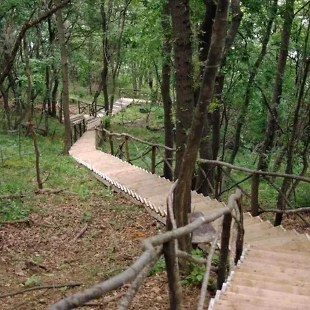The Cliff - Free Parking *